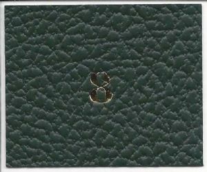 Scott ACSR03 Large Green National/Specialty Slipcase (For 3-Ring Binder)